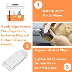 DOGSLIFE - DENTAL WIPES 16 DOGSLIFE - DENTAL WIPES -Pet Emporium DENTAL6