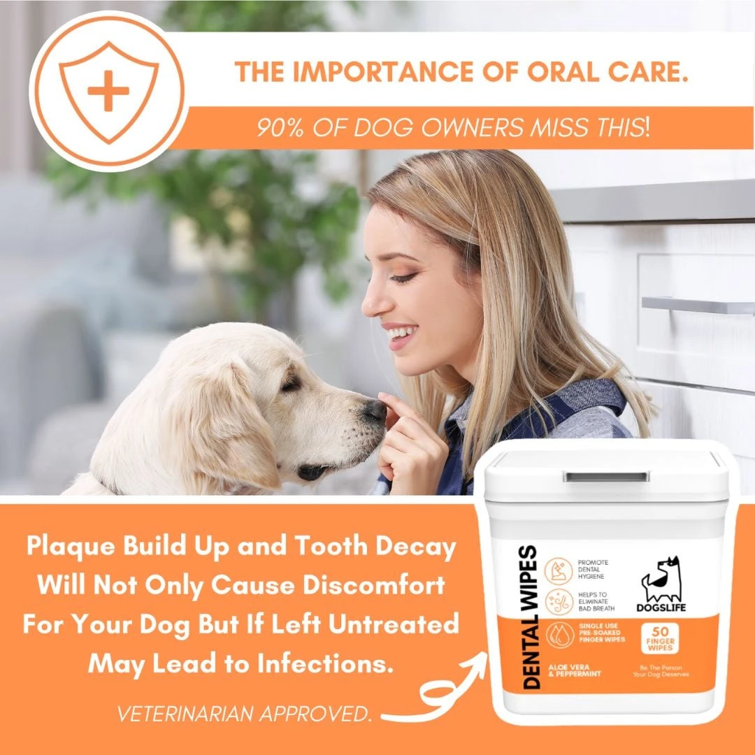 DOGSLIFE - DENTAL WIPES 9 DOGSLIFE - DENTAL WIPES - Image 7