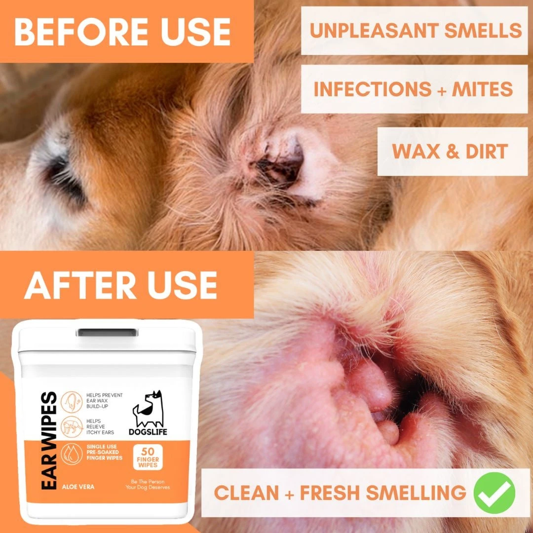 DOGSLIFE - EAR WIPES 10 DOGSLIFE - EAR WIPES - Image 8