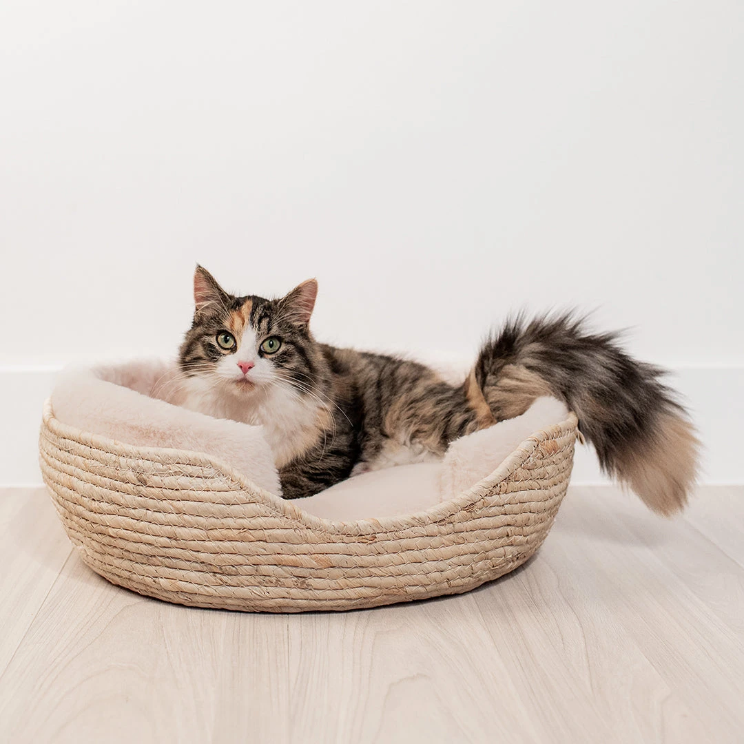 D&D - ELLA BASKET - DIFFERENT COLORS 4 D&D - ELLA BASKET - DIFFERENT COLORS - Image 2