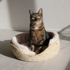 D&D - ELLA BASKET - DIFFERENT COLORS 8 D&D - ELLA BASKET - DIFFERENT COLORS -Pet Emporium ELLAPINK3