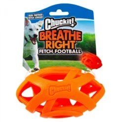 CHUCKIT FETCH BASEBALL BALL