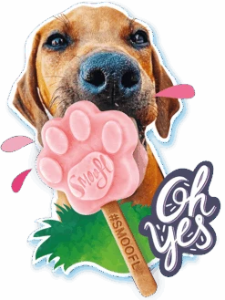 SMOOFL - MOULD - DIFFERENT SIZES -Pet Emporium Hero Master