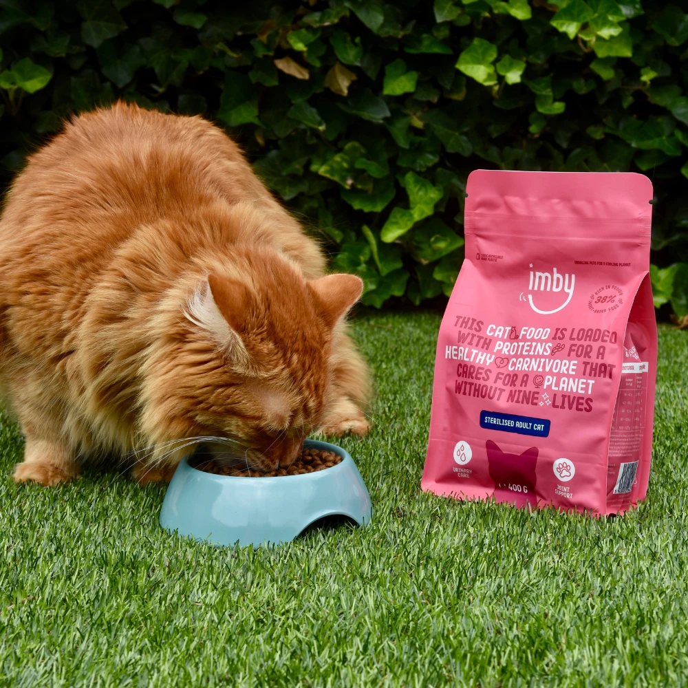 IMBY FOR CAT 4 IMBY FOR CAT - Image 2