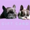 PET EMPORIUM - GIFT CARD -Pet Emporium IMG 8468