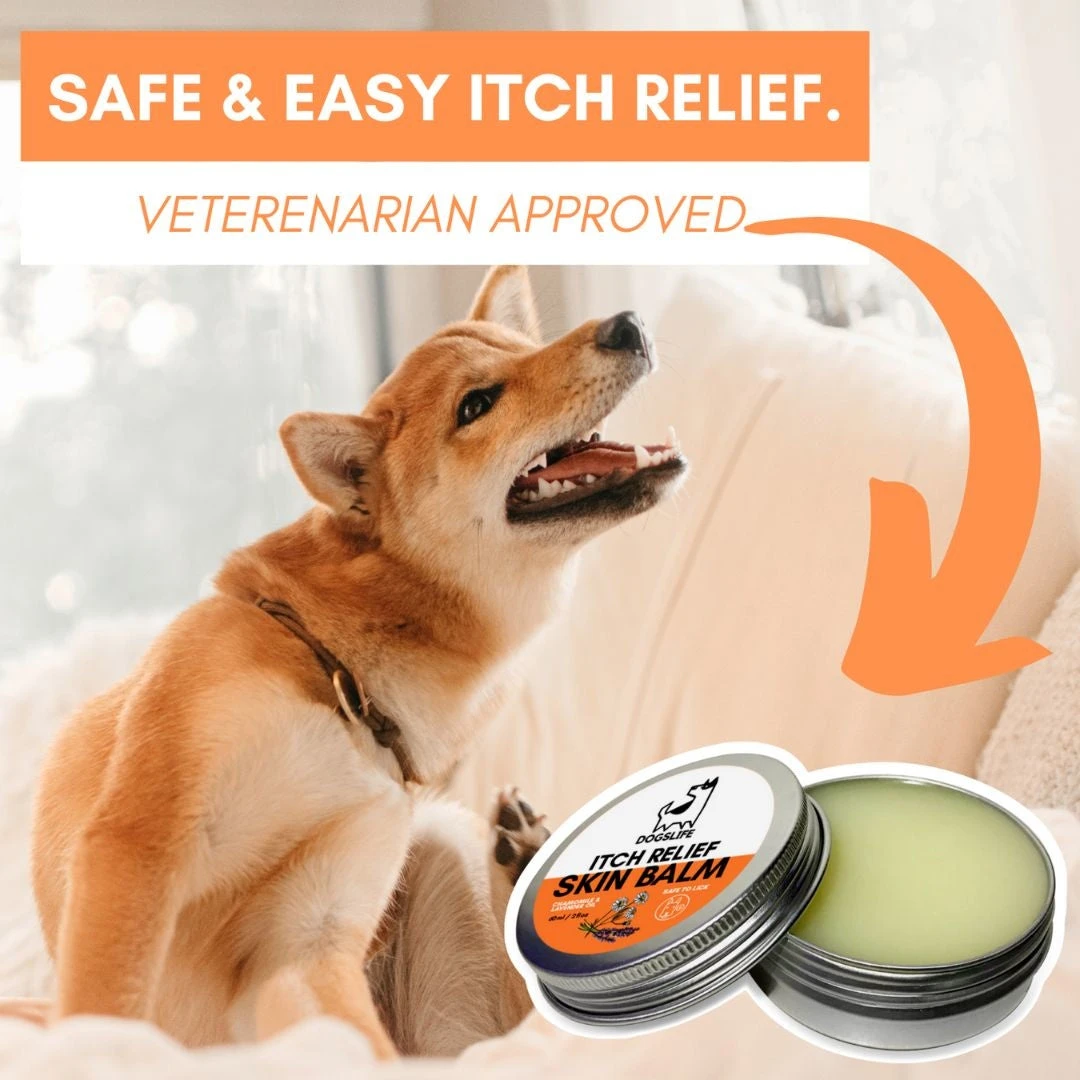 DOGSLIFE - ITCH RELIEF SKIN BALM 8 DOGSLIFE - ITCH RELIEF SKIN BALM - Image 6