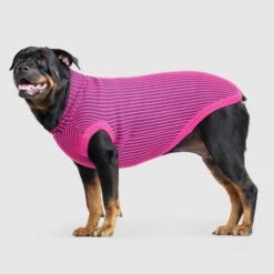 CANADA POOCH - ICON SWEATER - PINK/NAVY -Pet Emporium IconSweater NeonPink Side 520x b6b03ae5 1242 4646 8c30 b17c7df34325