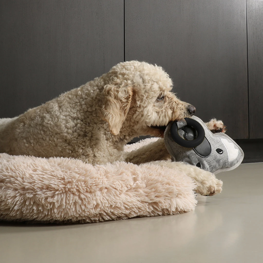 D&D HOME COLLECTION - KIKI KOALA 6 D&D HOME COLLECTION - KIKI KOALA - Image 4