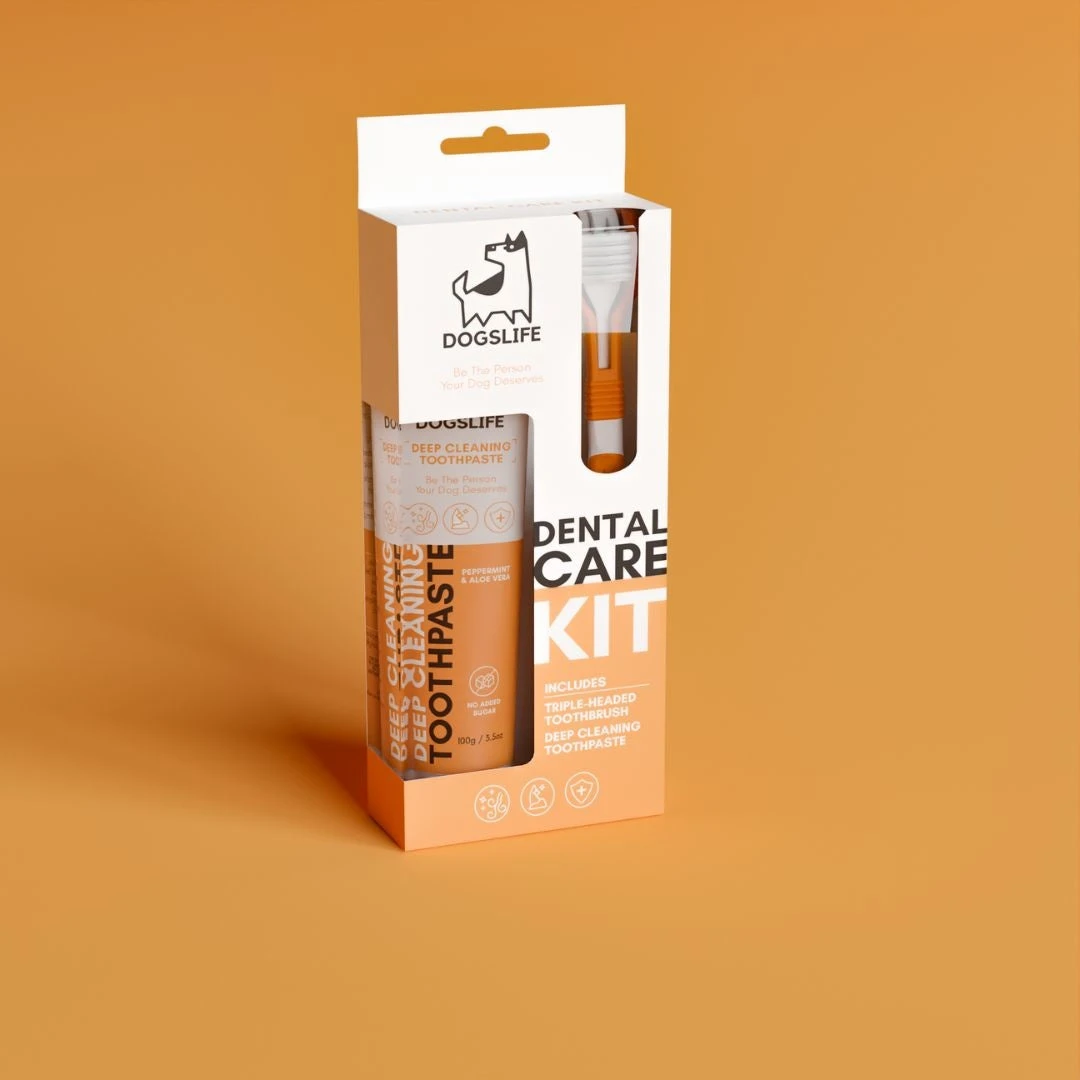 DOGSLIFE - DENTAL KIT 4 DOGSLIFE - DENTAL KIT - Image 2