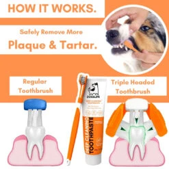 DOGSLIFE - DENTAL KIT 17 DOGSLIFE - DENTAL KIT -Pet Emporium KIT8