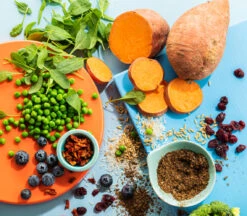 IMBY - INSECT BASED - MAXI -Pet Emporium MAXI2