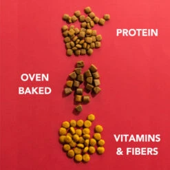 IMBY - INSECT BASED - MAXI -Pet Emporium MAXI3