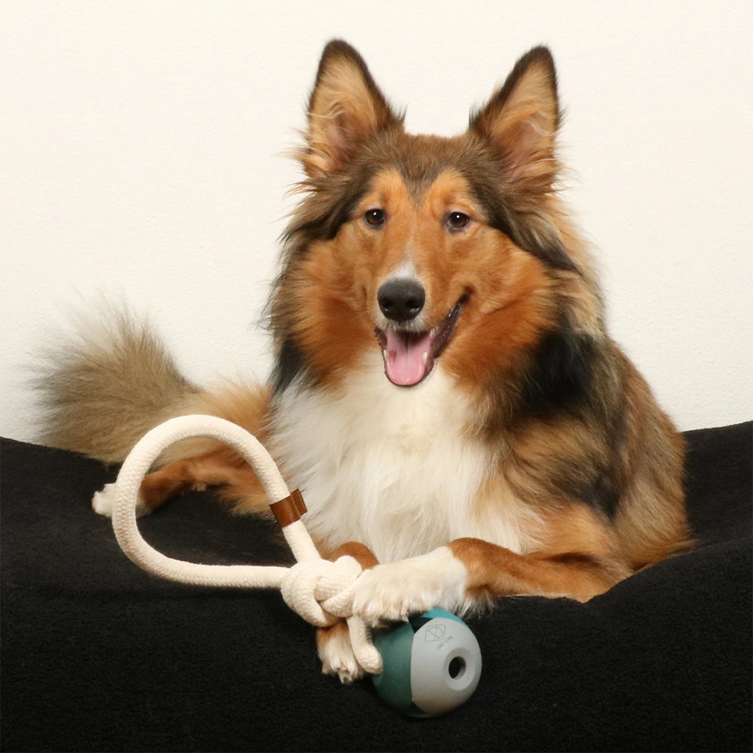 D&D HOME COLLECTION - NORA 6 D&D HOME COLLECTION - NORA - Image 4