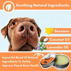 DOGSLIFE - PAW & NOSE BALM -Pet Emporium PAWNOSE7