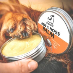 DOGSLIFE - PAW & NOSE BALM -Pet Emporium PAWNOSE9