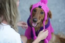 CANADA POOCH - POLAR POM POM HAT - PINK -Pet Emporium Pompomhatpink1