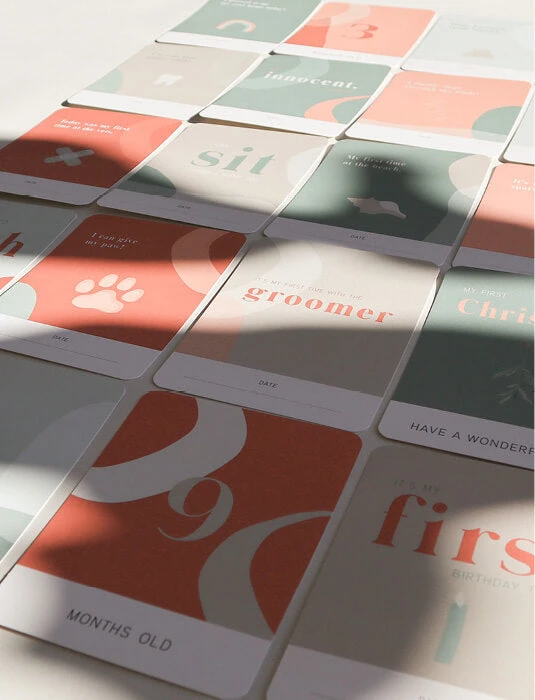 PAWNESS - PUPPY MILESTONE CARDS 4 PAWNESS - PUPPY MILESTONE CARDS - Image 2