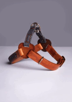 THE DENIM DOG - REDCAST HARNESS COGNAC -Pet Emporium REDCAST COGNAC d6733152 24ef 4f9d 8af9 a203d4354215