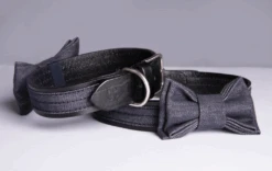 THE DENIM DOG - RIVET COLLAR BLACK -Pet Emporium RIVETBLACKBACK