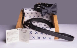 THE DENIM DOG - RIVET COLLAR BLACK -Pet Emporium RIVETBLACKWITHLEASH