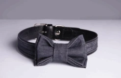 THE DENIM DOG - RIVET COLLAR BLACK -Pet Emporium RIVET COLLAR SINGLE