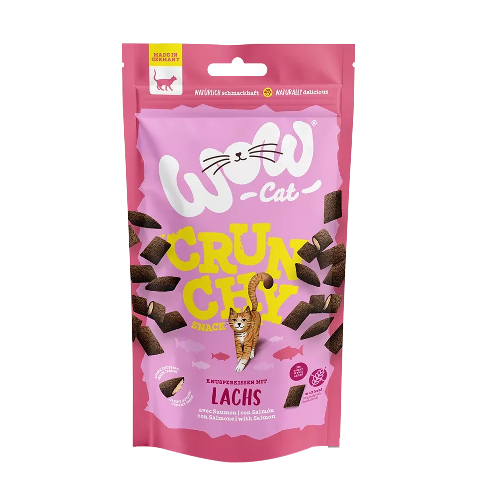 WOW - CRUNCHY SNACK WITH SALMON 3 WOW - CRUNCHY SNACK WITH SALMON
