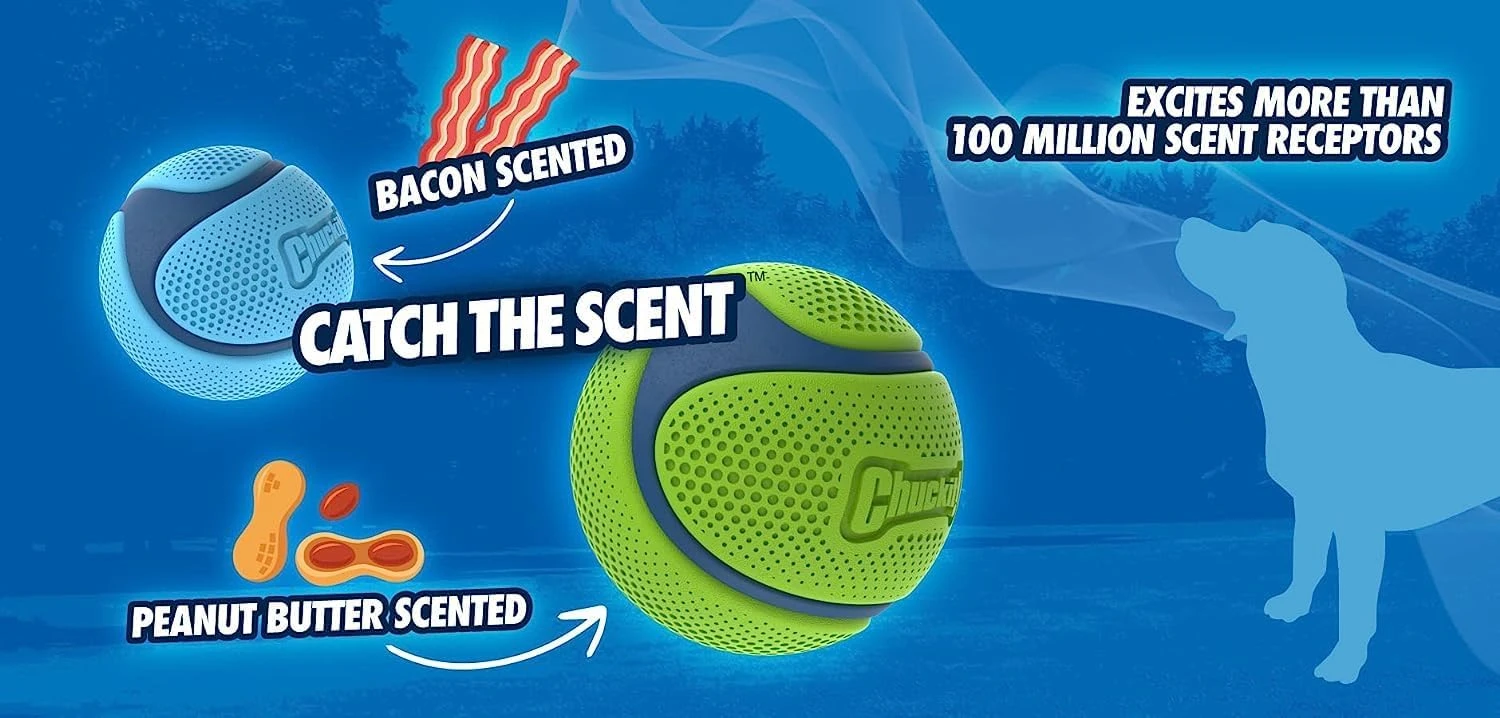 CHUCKIT SNIFF FETCH BALL - DIFFERENT SCENTS 8 CHUCKIT SNIFF FETCH BALL - DIFFERENT SCENTS - Image 6