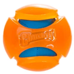CHUCKIT HYDROSQUEEZE