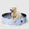 COOL PETS - SPLASH DOG POOL -Pet Emporium SWIMMING1