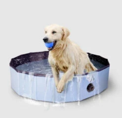 COOL PETS - SPLASH DOG POOL