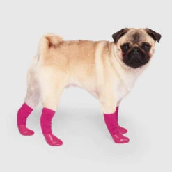 CANADA POOCH - THE SLOUCHY SOCK - PINK -Pet Emporium SlouchySocks Pink Side 520x e15eba14 e298 4bd8 a9b1 8f1a069c3399