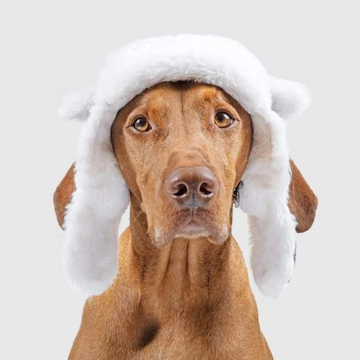 CANADA POOCH - THE ARTIC AIR HAT - GREY - Image 3