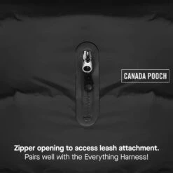 CANADA POOCH - WATERPROOF PUFFER - BLACK -Pet Emporium WaterproofPuffer Detail 2 520x 3c35208c 6aba 4b8f 8622 6be97ee396b8
