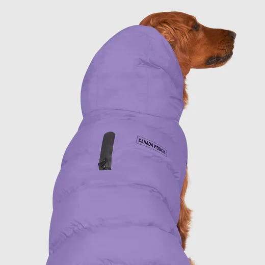 CANADA POOCH - WATERPROOF PUFFER - LILAC 4 CANADA POOCH - WATERPROOF PUFFER - LILAC - Image 2