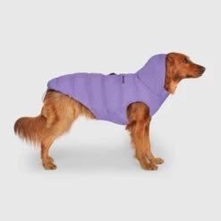 CANADA POOCH - WATERPROOF PUFFER - LILAC 9 CANADA POOCH - WATERPROOF PUFFER - LILAC -Pet Emporium WaterproofPuffer Violet Side 520x f4a8223b 2393 4fc4 8450 157547c730ee