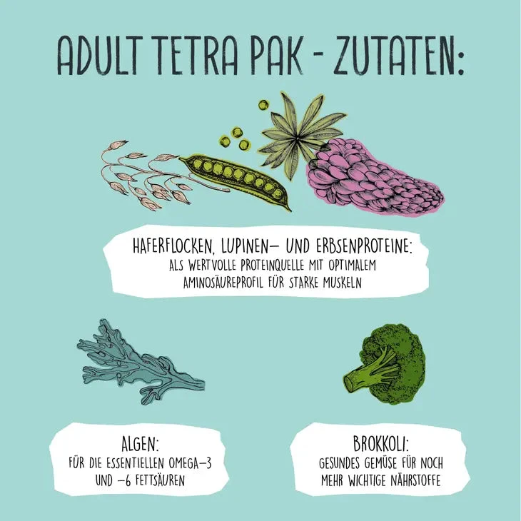 VEGDOG - PEAS & OATS TETRA PACK 6 VEGDOG - PEAS & OATS TETRA PACK - Image 4