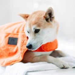 GREENFIELDS - CAPE TOWEL ORANGE 5 GREENFIELDS - CAPE TOWEL ORANGE -Pet Emporium accapp2