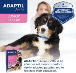 ADAPTIL - CALM - PUPPY COLLAR -Pet Emporium adaptil junior collar 45 cm 2
