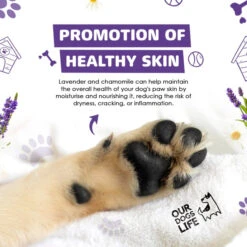 DOGSLIFE - PAW CLEANER 19 DOGSLIFE - PAW CLEANER -Pet Emporium b6af30fb4ce4a4b3b448e9ee3544109a6596766253e9c3cf1843189cfc0a4907 9155bad4 73b7 49c6 a712 42a6d14b74bd