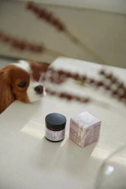 DOG'S LOVE - NATURAL PAW BALM WITH ORGANIC OILS 7 DOG'S LOVE - NATURAL PAW BALM WITH ORGANIC OILS -Pet Emporium balm2