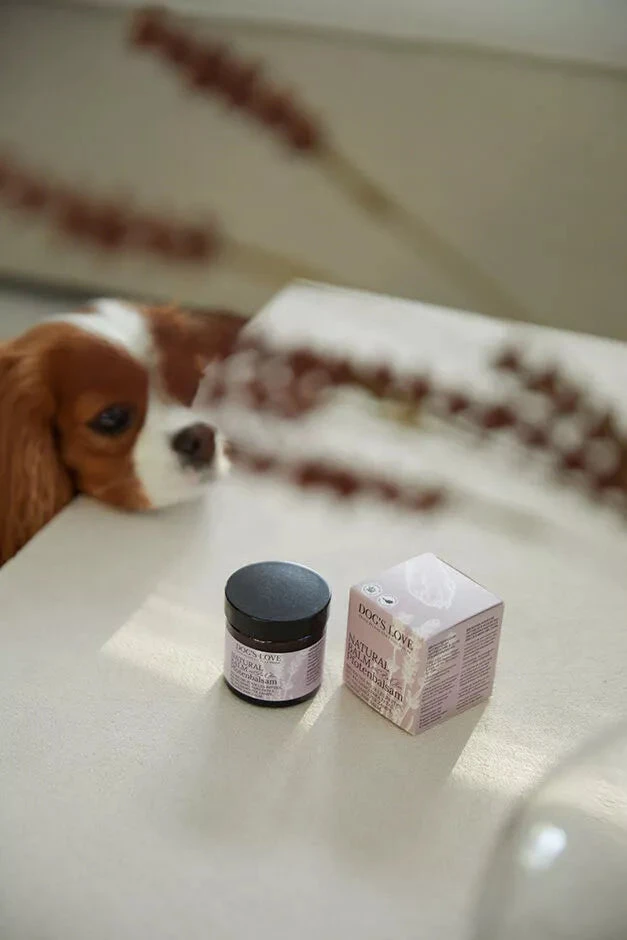 DOG'S LOVE - NATURAL PAW BALM WITH ORGANIC OILS 5 DOG'S LOVE - NATURAL PAW BALM WITH ORGANIC OILS - Image 3
