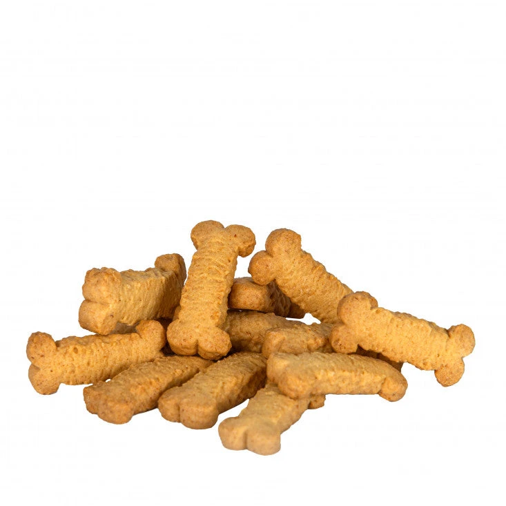 DACHSHUND - APPLE AND BANANA 4 DACHSHUND - APPLE AND BANANA - Image 2