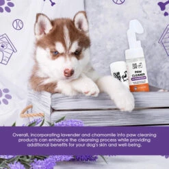 DOGSLIFE - PAW CLEANER 15 DOGSLIFE - PAW CLEANER -Pet Emporium bcdfbcdd966c2ac389f31d452cc7a9e2b0f152afe1746e90e1c800b9fa5bc08d