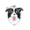 MY FAMILY - BORDER COLLIE 2 MY FAMILY - BORDER COLLIE -Pet Emporium border collie id dog tag1