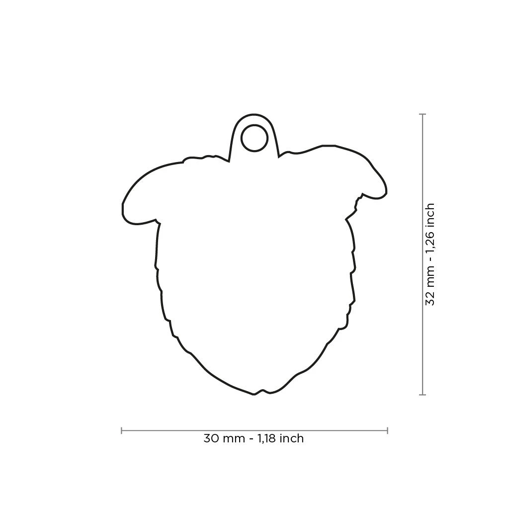 MY FAMILY - BORDER COLLIE 3 MY FAMILY - BORDER COLLIE - Image 2