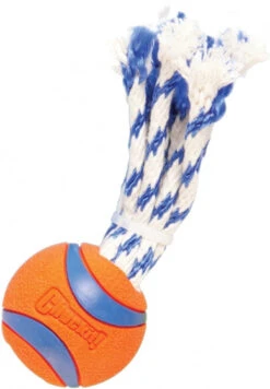 CHUCKIT ULTRA TOSS -Pet Emporium chuckit apporteerspeelgoed ultra toss 5 cm rubber oranje 837223 1618480828