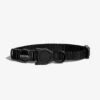 ZEE.DOG - GOTHAM CAT COLLAR -Pet Emporium coleira para gatos preto gotham zeecat gato pet main 1 1296x 2755bc10 a004 4c35 befa 54d57165cdd6