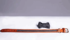 THE DENIM DOG - RIVET COLLAR COGNAC -Pet Emporium collaresenzapapillon