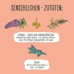 VEGDOG - LUPINE PROTEIN 10 VEGDOG - LUPINE PROTEIN -Pet Emporium d9a85561e3034f6901e7c372633e5384c0925d82bcc6a3c2371bea1591908623