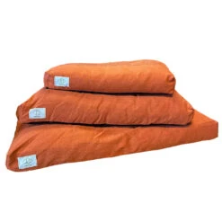 D&D - ELLIS ORANGE 13 D&D - ELLIS ORANGE -Pet Emporium ellis